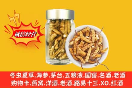巴彦淖尔市乌拉特前旗回收散虫草