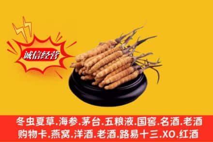 巴彦淖尔市乌拉特前旗求购回收虫草多少钱每克